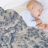 Blue Toile De Jouy Throw Blanket Sofa Bed Wednesday Blankets Ands Bed Linens Blankets