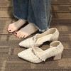 Pointed single shoes women's thick heel spring 2025 new pearl versatile shallow mouth gentle fairy wind side empty high heels