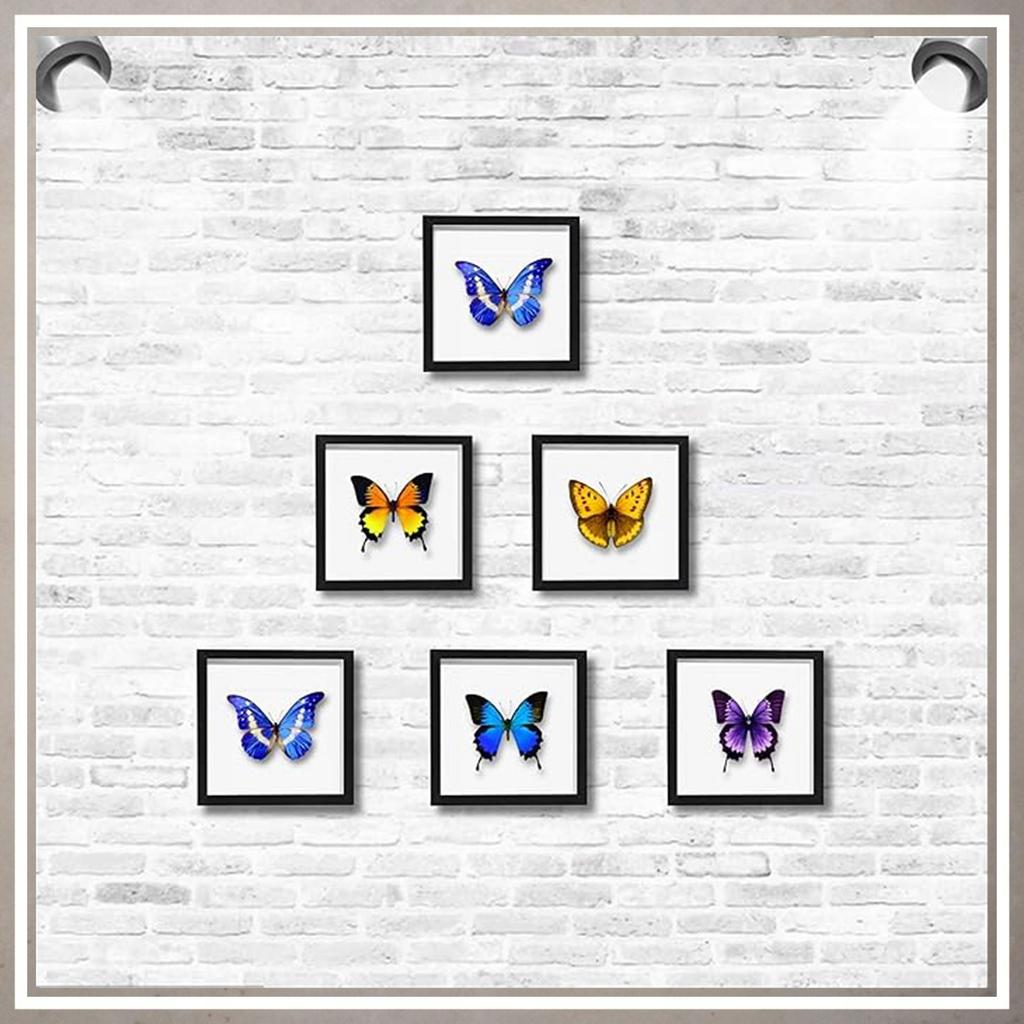 Deep box 3D frame 24.5x24.5 for moss handicrafts for photos, black