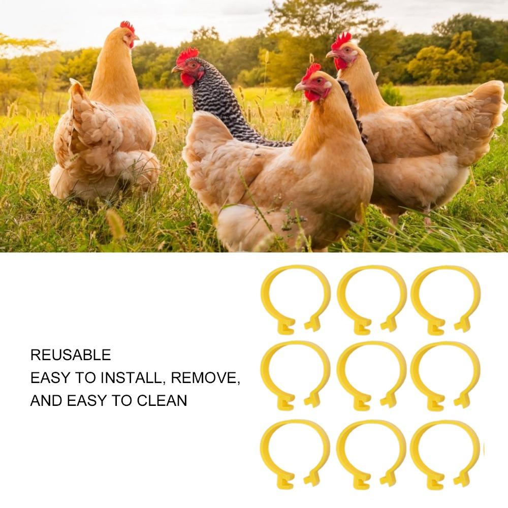 100Pcs Plastic Chicken Ankle Rings Yellow Poultry Feet Rings Geese Leg Rings For Breeding Ducks