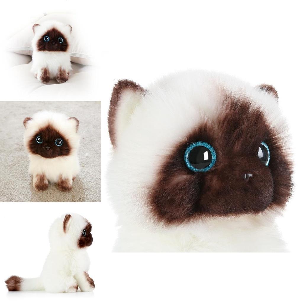 20cm/26cm Siamese Cat Plush Toy Cute Soft Gift Blue Sequins Eyes Dolls