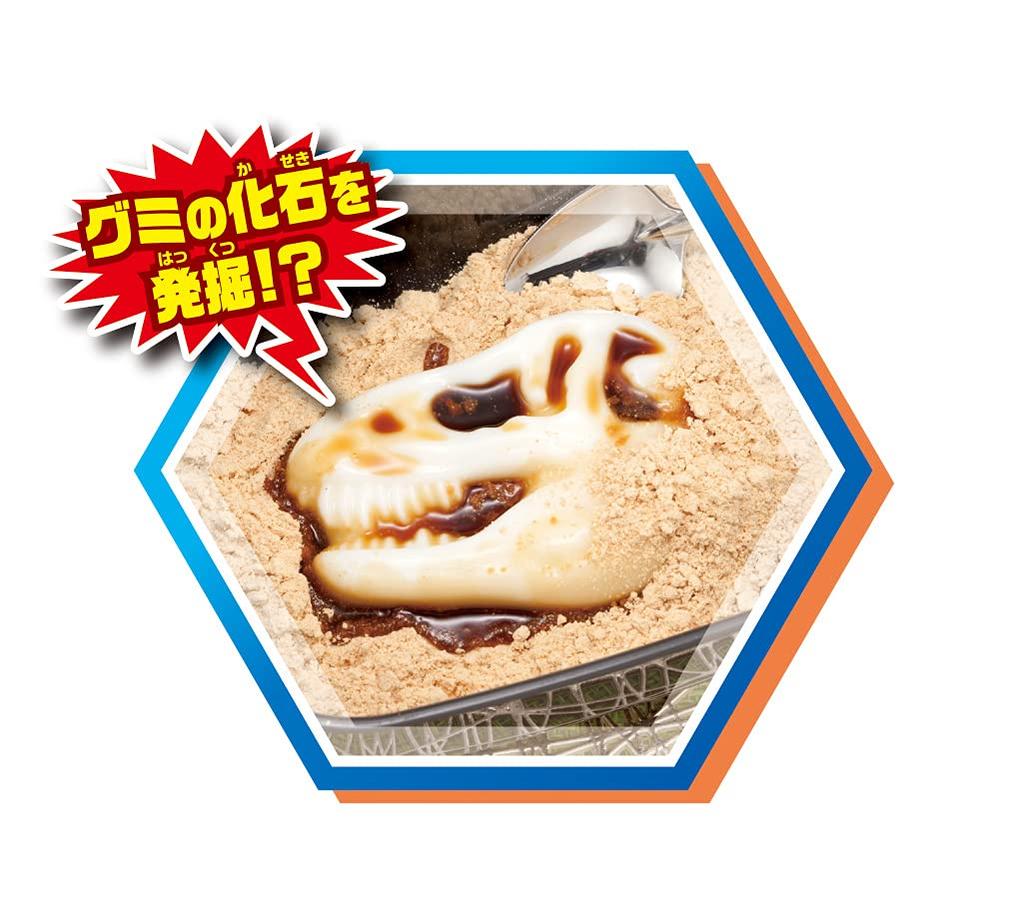 MegaHouse Gumipple Lab Forschungspresentation DX