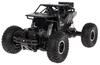 Crawler Rover 1:16 R/C Czarny