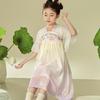 Girls' Princess Hanfu Embroidered Summer Dress
