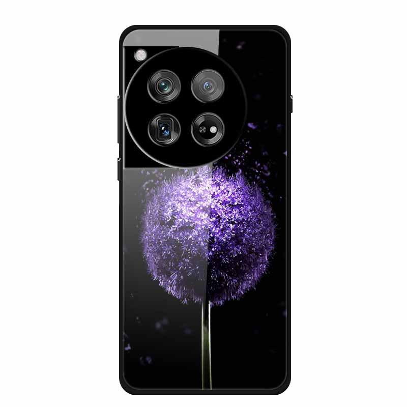 Personalized Seven-Colored Tempered Glass Phone Case for OnePlus 12 - Unisex
