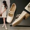 French silver single shoes women's summer 2025 new with skirt beautiful not tired feet square head thick heel Mary Jane small leather shoes