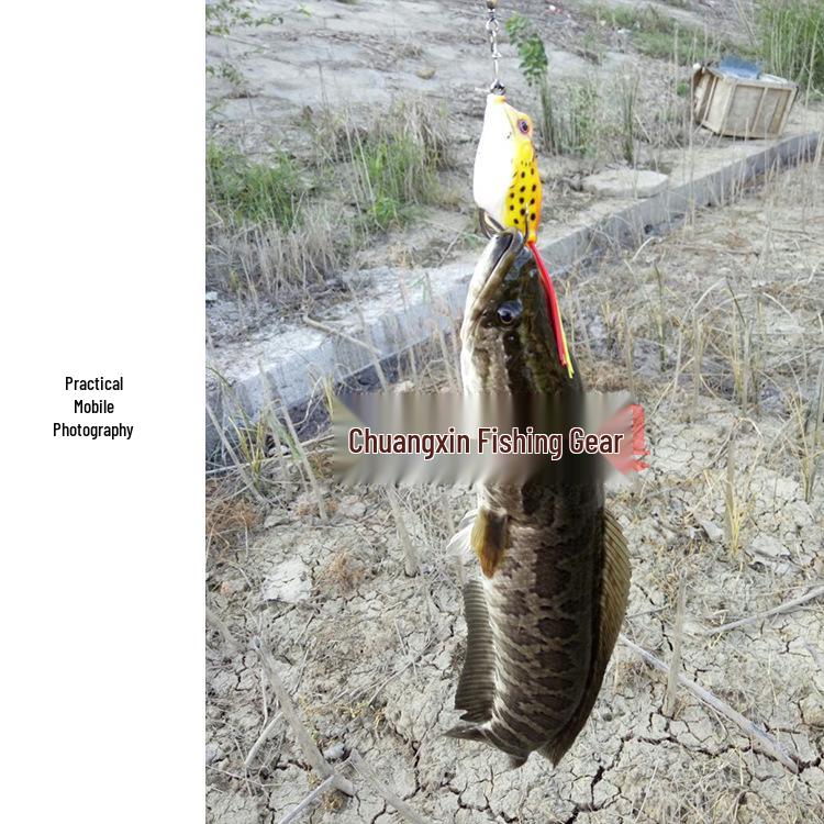 Thunder Frog Soft Bait - Black, 5g/8g/13g Bionic Simulation Lure