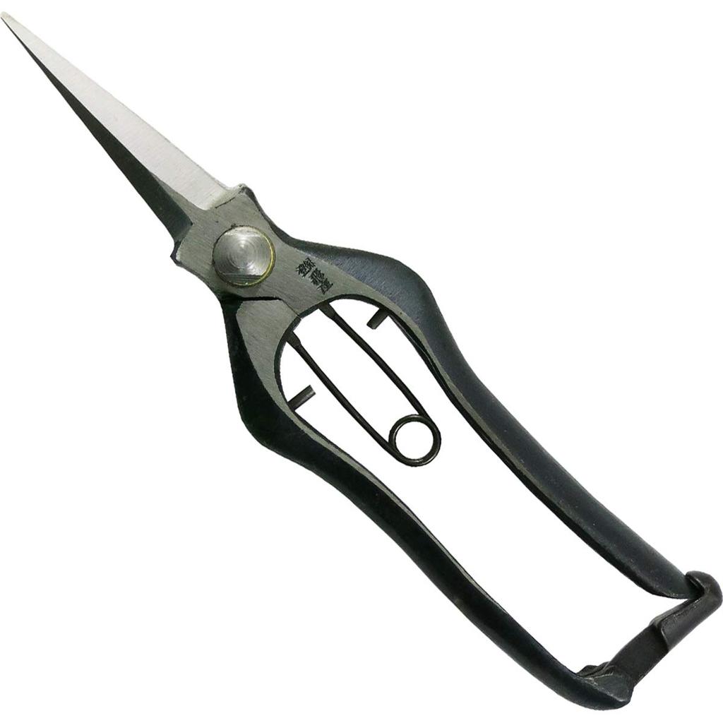 Tobitsuka Seisakusho Bud Tosho Model with Metal 200mm Double-Edged Scissors, 31165, Clamp,