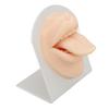 3D Soft Silicone Tongue Mouth Model with Stand Reusable Jewelry Display Tongue Model for Piercing Practice