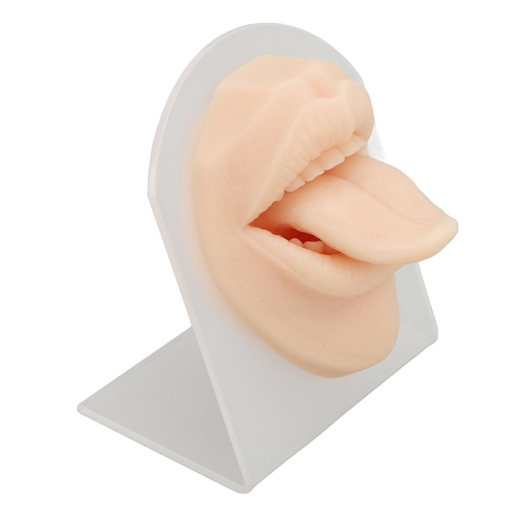 3D Soft Silicone Tongue Mouth Model with Stand Reusable Jewelry Display Tongue Model for Piercing Practice
