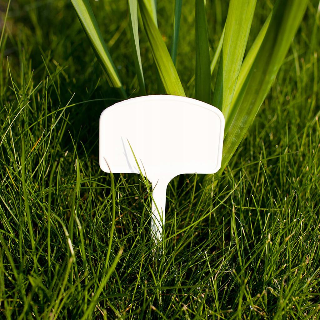 Label plates for describing plants 30 pcs pencil