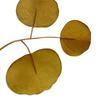 Simulation  Eucalyptus Colored Leaves Photo Shoot Photography Background Props Tabletop Home Decor