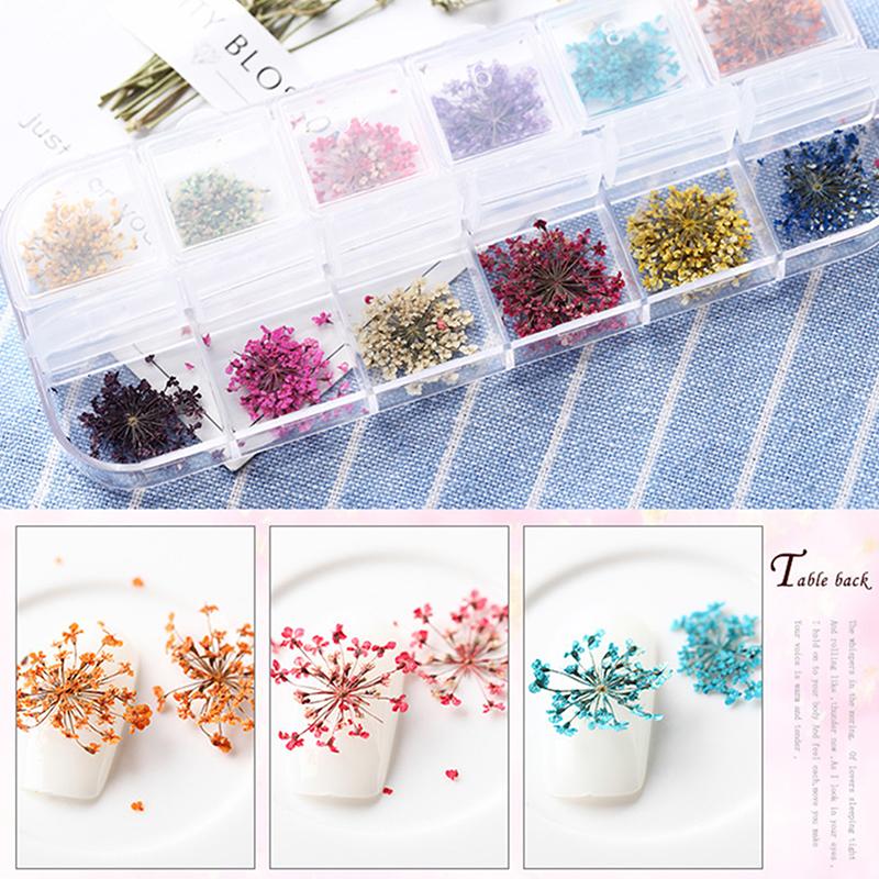 Flower Nail Art Decoration Real Mini Dried Blossom Natural Floral Stickers Nail Charms Diy Manicure Nails Accessories Home Salon