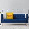 Global Express DHL Square Pillowcase Pillow Cover Cushion Throw Pillow for Home Sofa Living Room