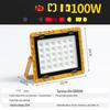 UOSULED 100W Integrated LED Outdoor Floodlight