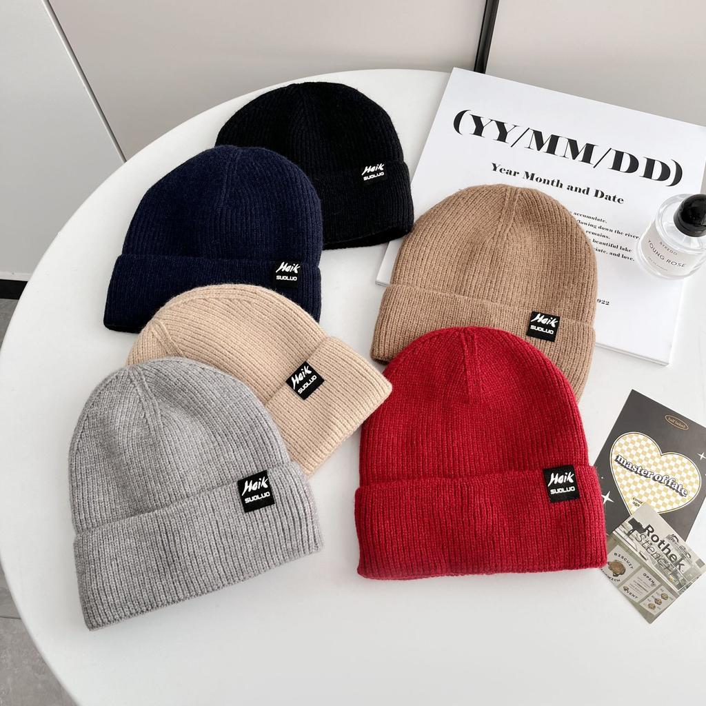 Korean Version of All-match Letter Labeling Flip Hat Brim Wool Hat Windproof Cold Hat Autumn and Winter Warm Knitted Hat Label