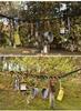 Hot-Selling Outdoor Tent Storage Lanyard: 19-Loop Camping Clothesline Tie Strap