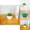Simulated Succulent Bonsai Pot With Lightweight Pvc For Home Office Interior Design
