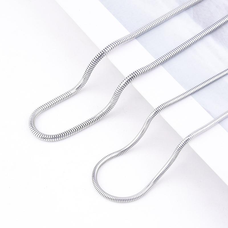 Personality Simple All-Match Hip-Hop Clavicle Chain Light Luxury European American Titanium Steel Non-Fade Flat Snake Bone Chain