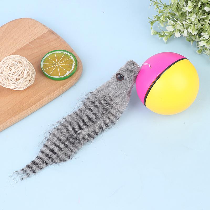 Evcil Köpek Kedi Oyuncak Gelincik Motorlu Komik Yuvarlanan Top Kunduz Topları Evcil Hayvan Oyuncakları Kedi