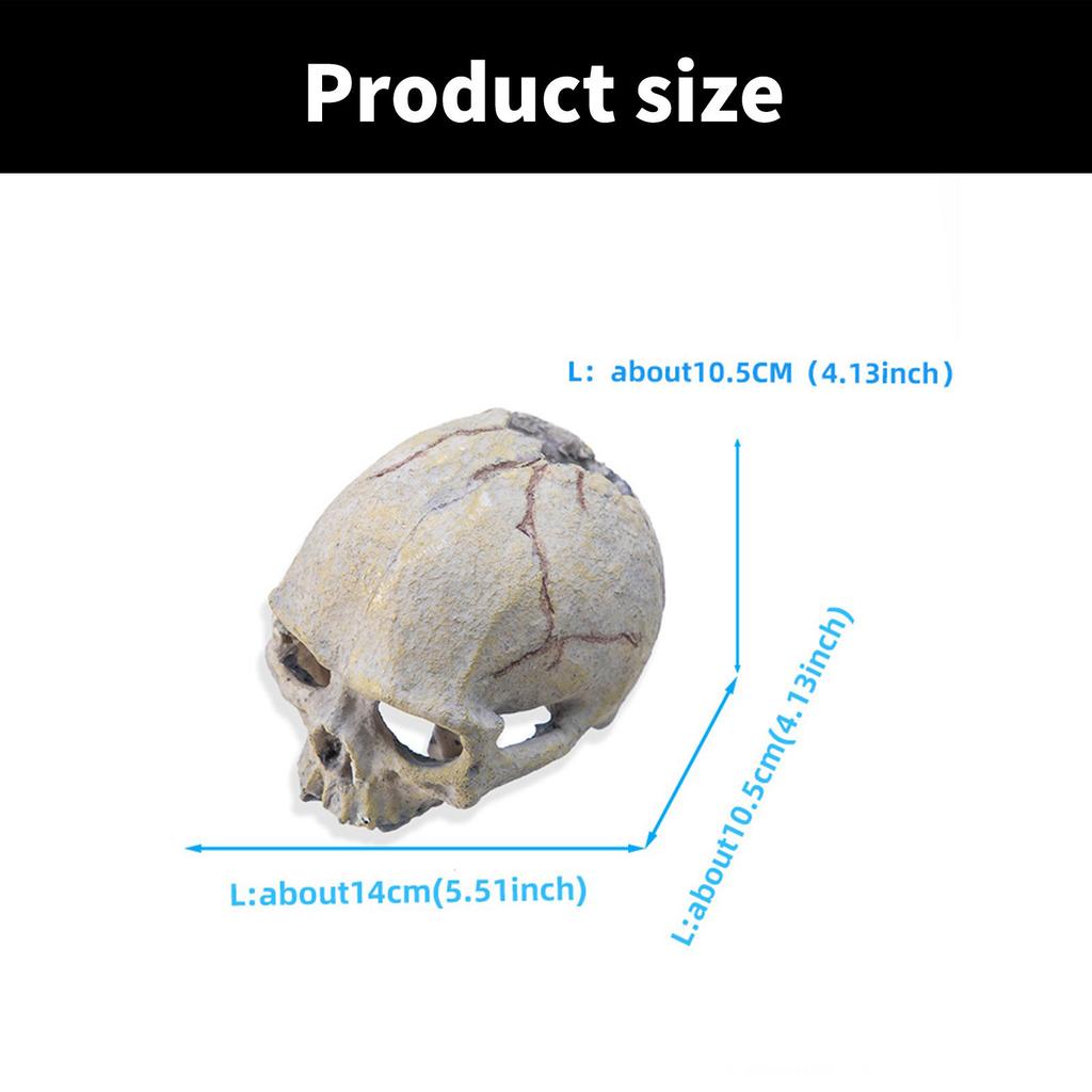 Harz Schädel Figur Reptilien Verstecke und Höhlen Aquarium Terrarium Zubehör für Leopardgecko Bartagame Königspython