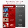 Oulaide 16.8V 'Small Cannon' Brushless Cordless Drill & Screwdriver CN Plug (adapter Included)