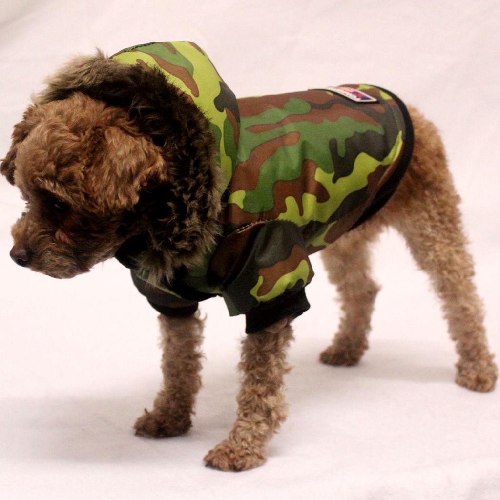 Waterproof Camouflage Winter Coat for Dogs - Cotton-Padded Four-Legged Jacket, Stain-Resistant, Two-Piece Set