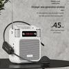Newman MS19 Little Bee Wireless Portable Voice Amplifier CN plug (adapter included)
