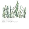 Adesivo de Janela Folha de Samambaia Verde Folhas de Pteridófita Plantas Estático PVC Adesivo de Janela Reutilizável Impermeável Decalques para Decoração de Janela de Porta de Sala de Casa