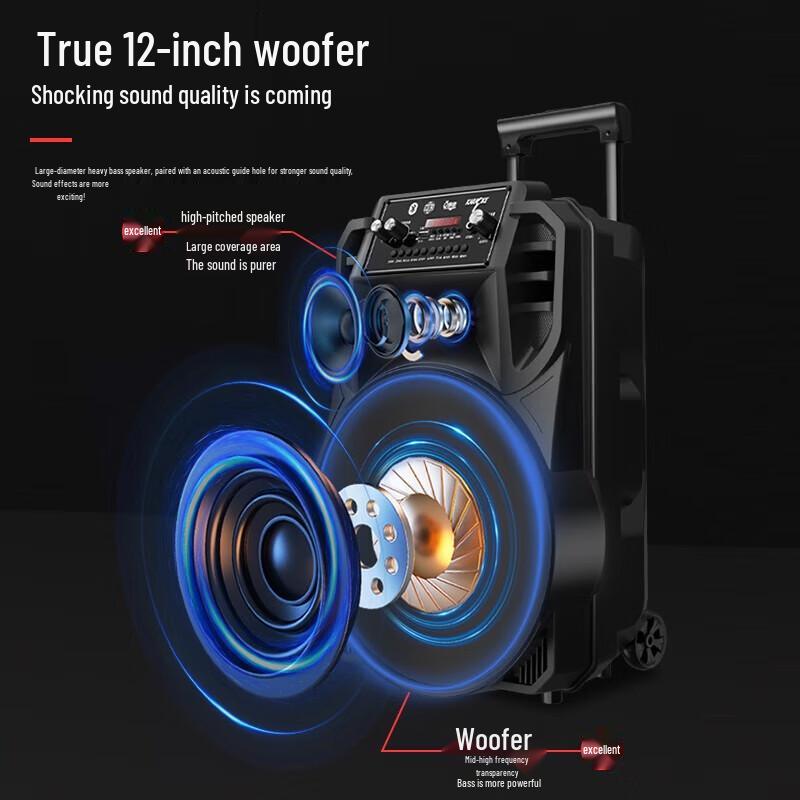 Newmine N509 Portable Karaoke Trolley Speaker