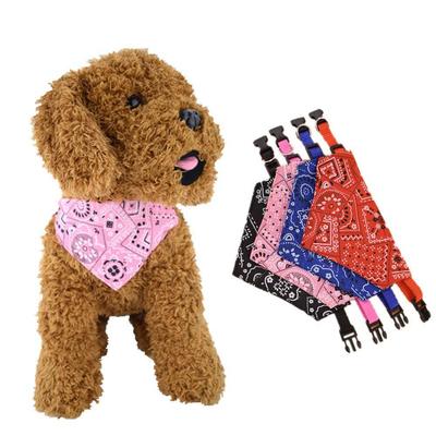Abbigliamento e scarpe – Accessori per cani