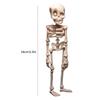 Mini Colorful Skeleton Fridge Magnets Funny Halloween Bone Decor Magnetic Toys Refrigerator Home Halloween Party Decoration