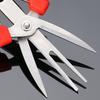 1Pc Double-Edged Fruit Flower Thinning Scissors Carbon Steel Garden Orchard Plant Kiwi Pear Apple Trees Multi-use Pruning Tools