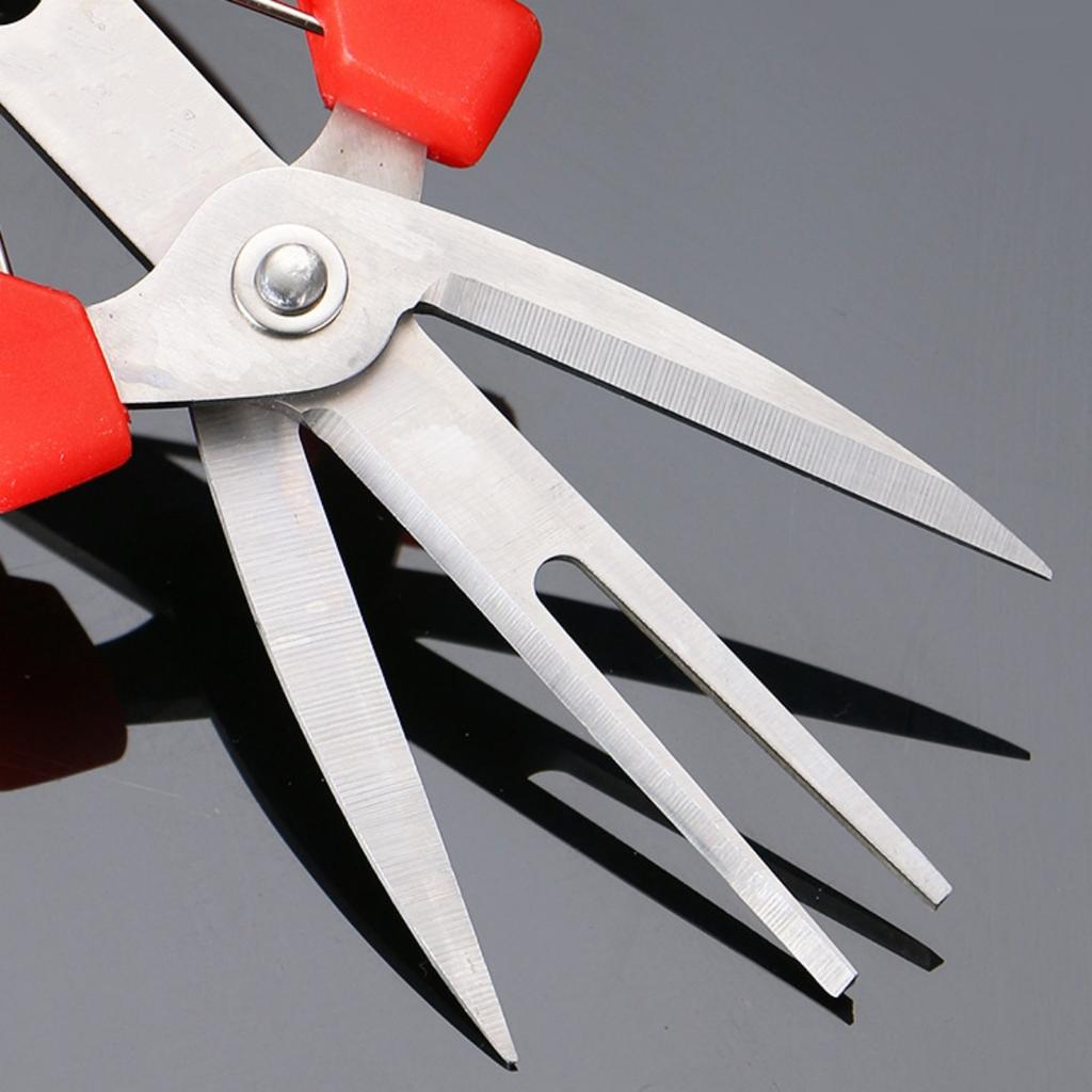 1Pc Double-Edged Fruit Flower Thinning Scissors Carbon Steel Garden Orchard Plant Kiwi Pear Apple Trees Multi-use Pruning Tools
