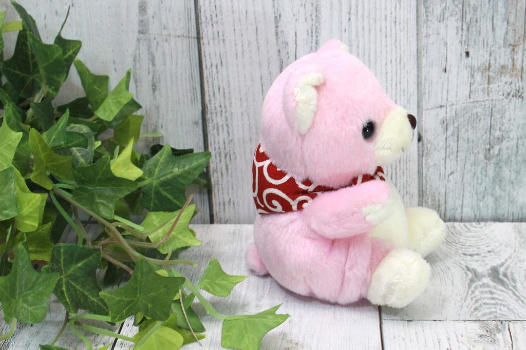 Start Kumacoro Różowy