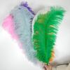 10Pcs White Ostrich Feathers for Wedding Party Decoration DIY Natural Feather Table Centerpiece Vase Craft Carnival Plumas Decor