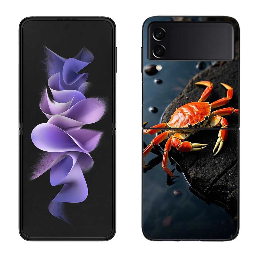 Unique Animal Crab Phone Case For Samsung Z Flip 7 6 5G Galaxy Z Flip 5 4 3 Black Hard Cell Cover Luxury PC Shell Coque