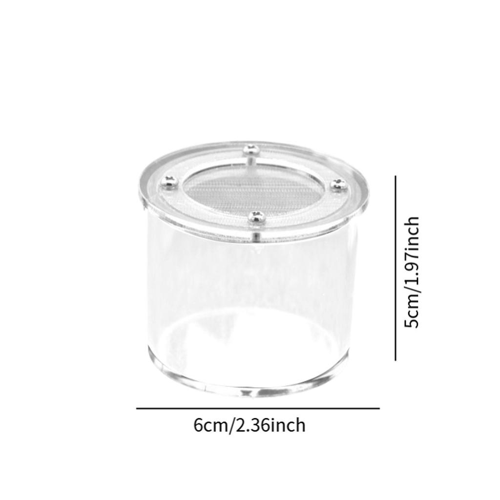 Reptile Breeding Box Spider Box Acrylic Sturdy Small Terrarium Breeding Tank Transparent Reptile Tank for Gecko Scorpions