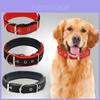 Pet Collar Made Of Pp Polypropylene Breathable And Comfortable Suitable For All Seasons