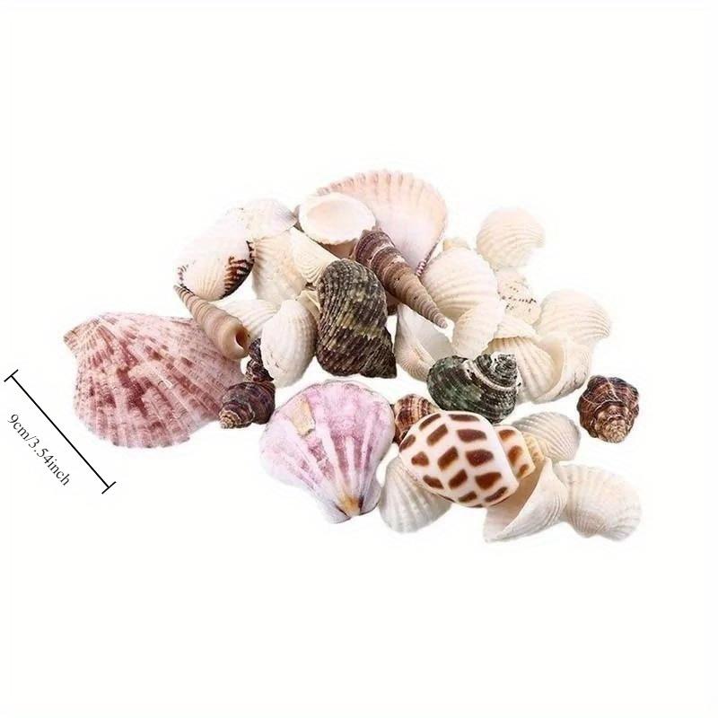 30Pcs/Bag Mix Aquarium Beach Nautical DIY Shells Mixed Bulk Sea Shell