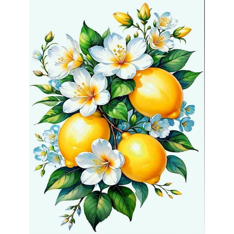

GATYZTORY Modern Diy Painting By Numbers Kits Scenery Picture Of Coloring By Numbers Acrylic Paint Lemon Tree For Adults Diy Gif 30x20cm no frame