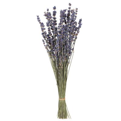 Daichi Noen Dried Flower Lavender Italy Natural Approximately 30G L30~40cm DO010040-000