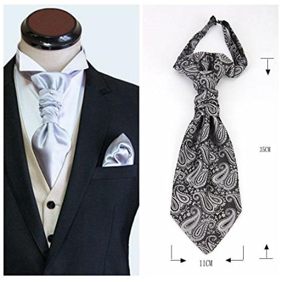 [NECOTIA] Amazon Exclusive Brand Necktie - Plain Paisley Pattern, One-Touch Fastening Ascot Tie - Perfect for Weddings, Graduations, Concerts,