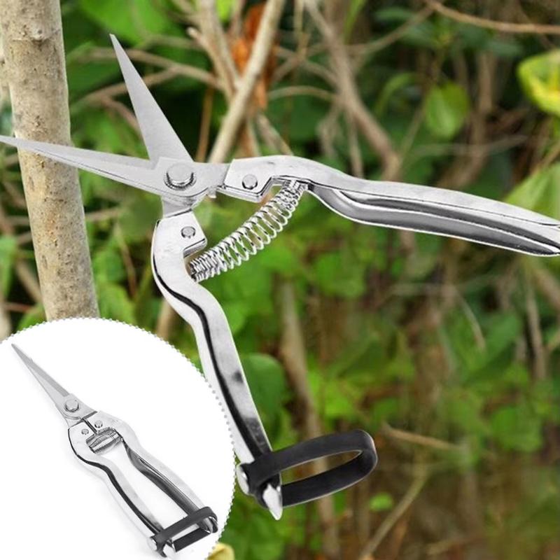 Garten-Handschere Scharfe Edelstahl-Astschere zum Obstpflücken, Blumenbeschneiden, Schneiden kleiner Äste, für den Heimgebrauch