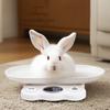 Kitchen Food Scale with Removable Tray Small Electronic Weighing Scale for Fruits Newborn Pet