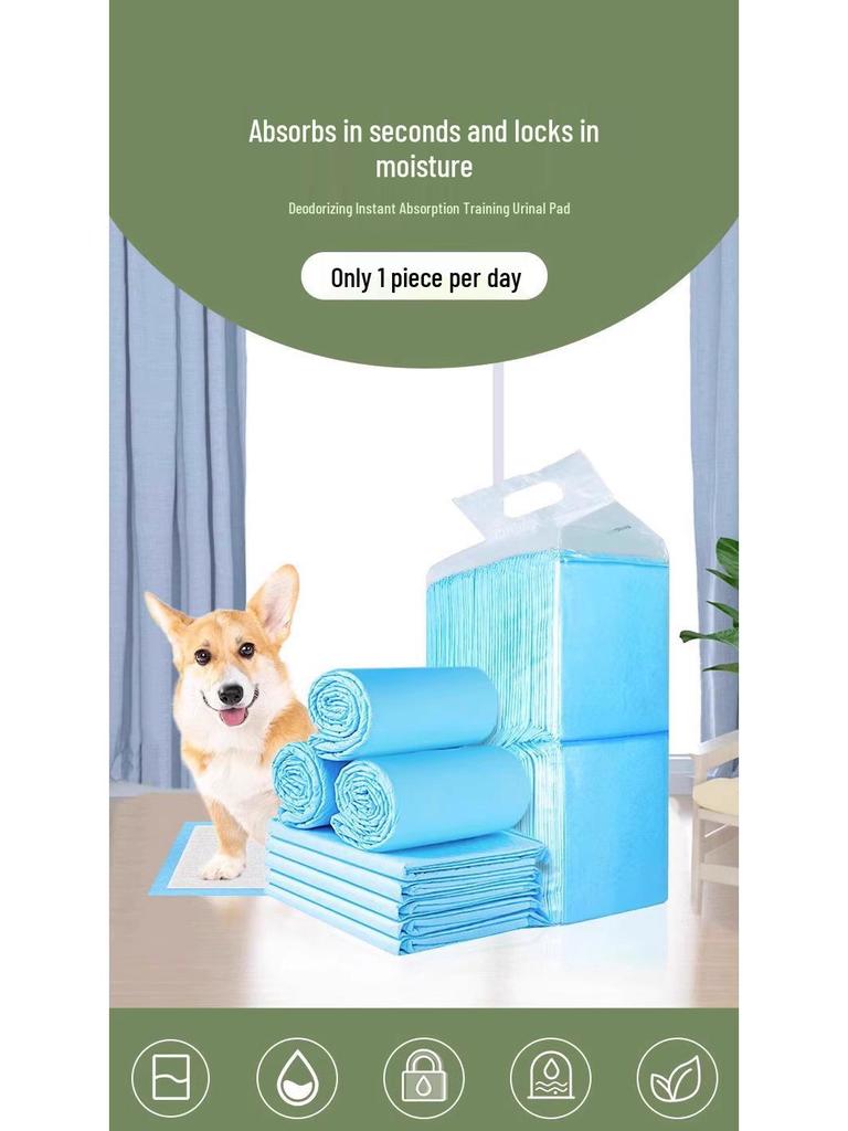Adhesive Dog Pee Pads: Thick, Absorbent, Disposable, Deodorizing Diapers