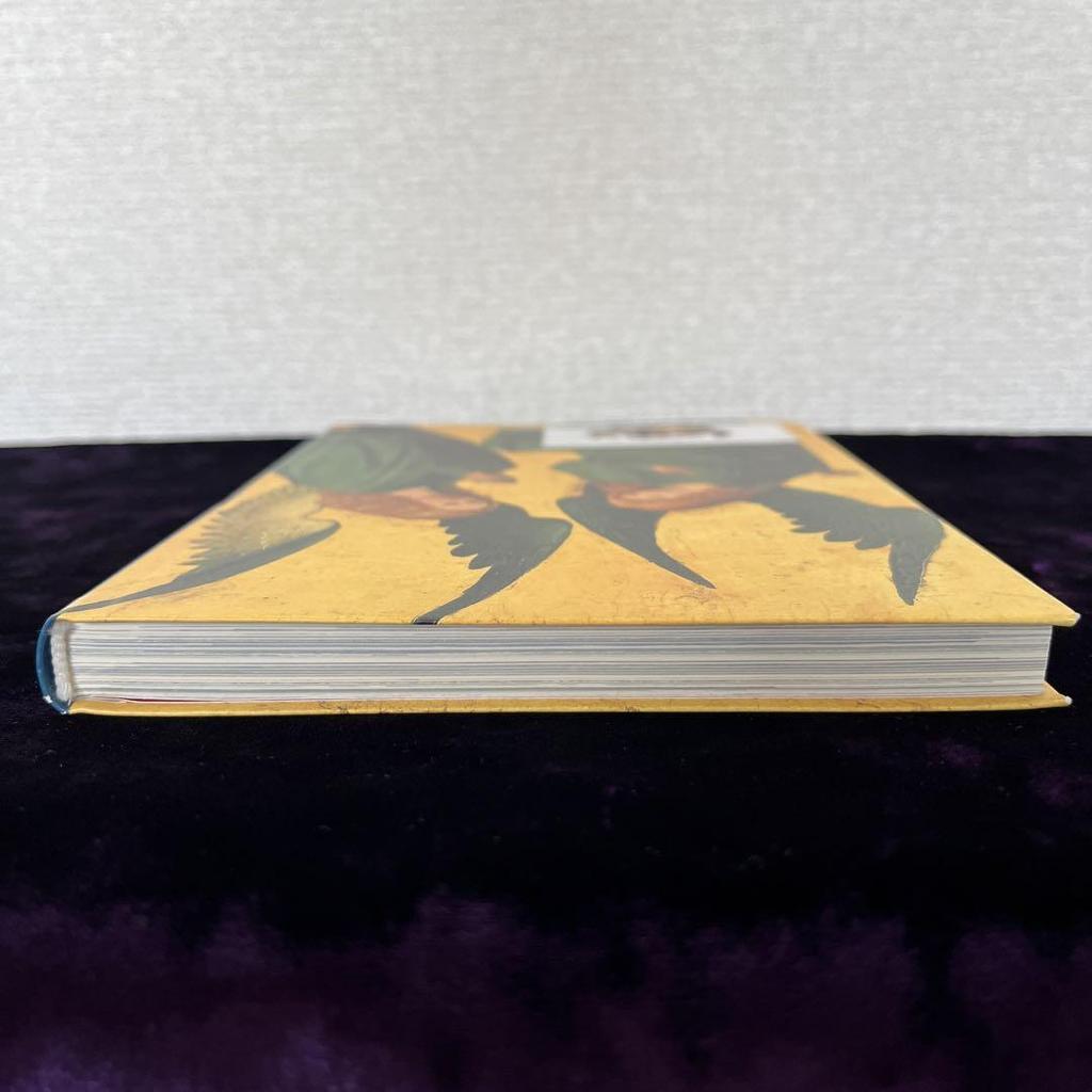 [USED] ANGELS Angel Art Book