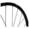 Shimano Center Lock 12mm Rear WH-RX180-TL-R12-700C Wheel, 12-speed, Disc, E-Thru, OLD 142mm, Tubeless, 700C, Only, HG-L