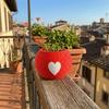 Mini 3D Printed Plant Pot Heart Pattern Eco-Friendly Planter Unique Bonsai Pots  Office