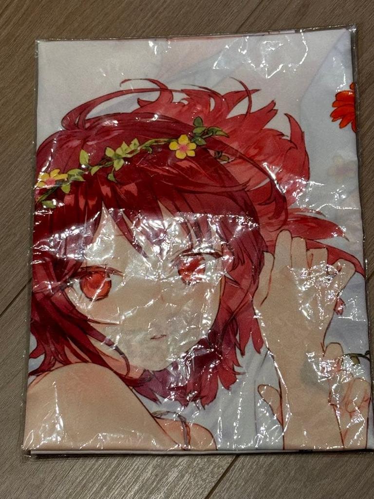 [USED] Atelier Sophie: The Alchemist of the Mysterious Book Bonus B2 Fabric Poster